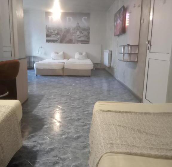 اتاق استاندارد چهار تخته, Roger S