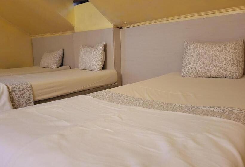 اتاق خانوادگی, Roger S