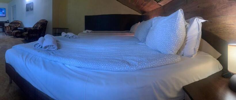 اتاق استاندارد سه نفره, Roger S