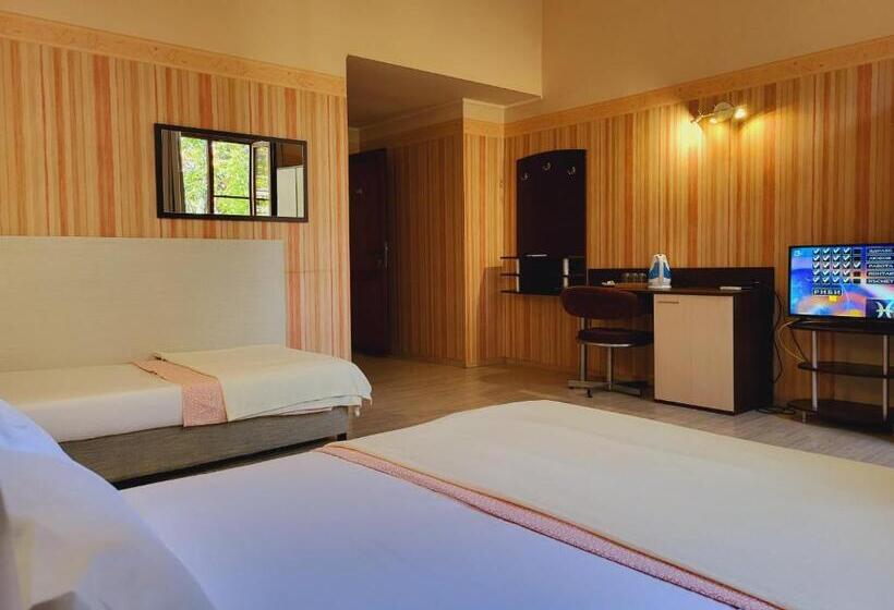 اتاق استاندارد سه نفره, Roger S