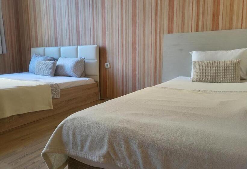 اتاق استاندارد سه نفره, Roger S