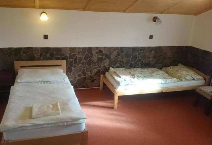 غرفة قياسية فردية, Penzion Relax