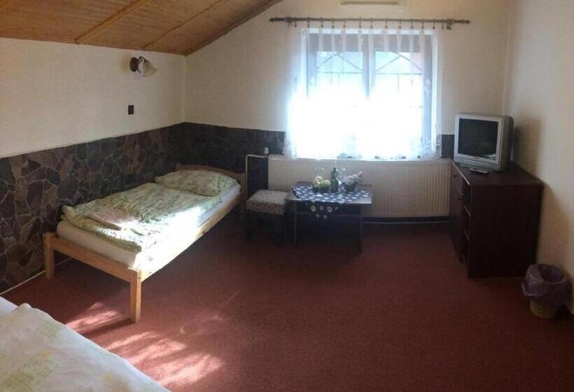 غرفة قياسية فردية, Penzion Relax