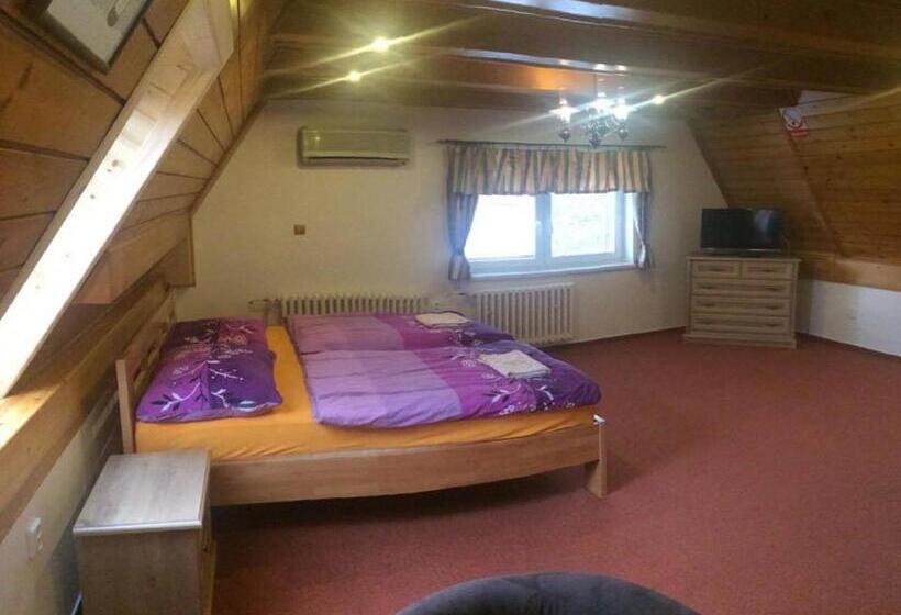 غرفة قياسية, Penzion Relax