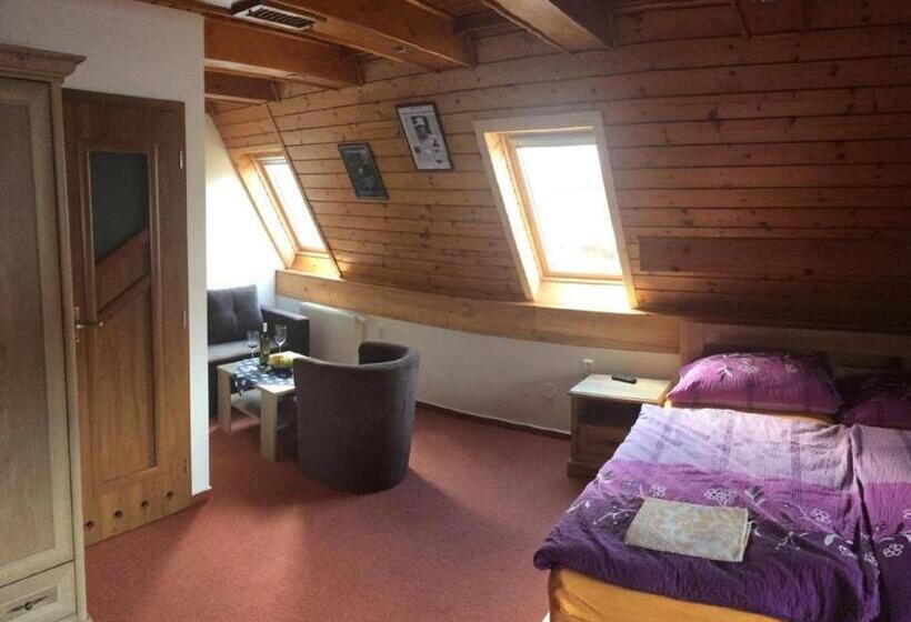 غرفة قياسية, Penzion Relax