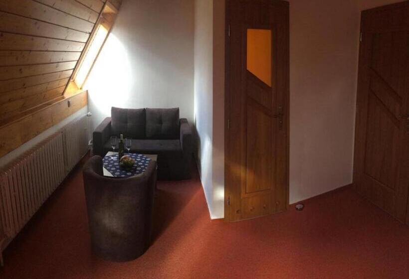 غرفة ديلوكس, Penzion Relax