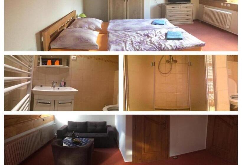 غرفة ديلوكس, Penzion Relax