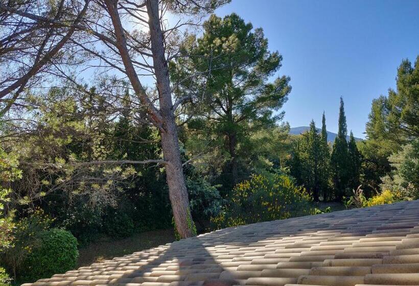 غرفة قياسية, La Luberonne