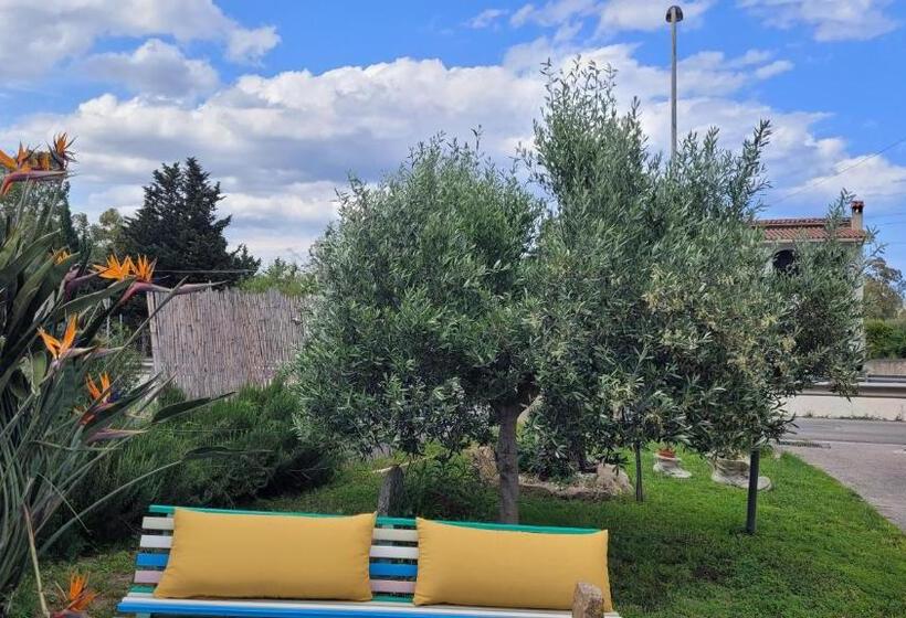 חדר דלוקס, Su Cunventu