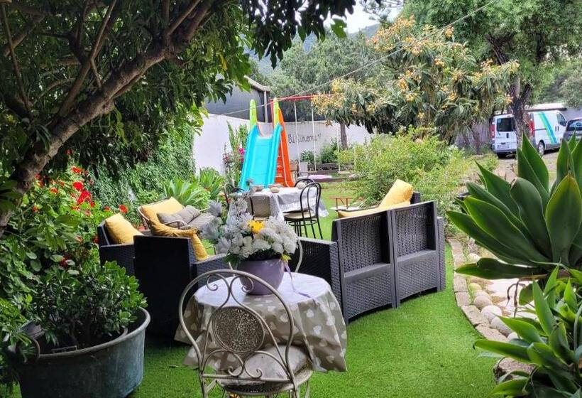 חדר דלוקס, Su Cunventu