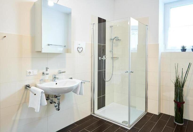 标准单人间, Pension Gschaider