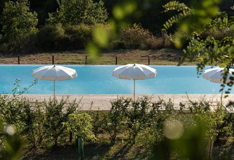 اتاق استاندارد, Chianti B&b Design Infinity Pool Shared