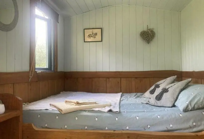 Xalet 1 Dormitori, Berwyn Shepherds Hut