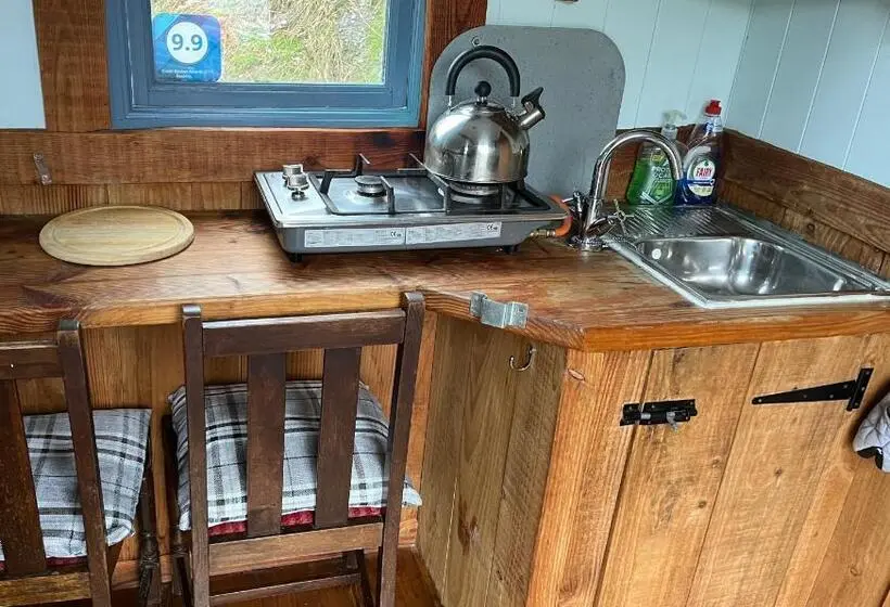Xalet 1 Dormitori, Berwyn Shepherds Hut