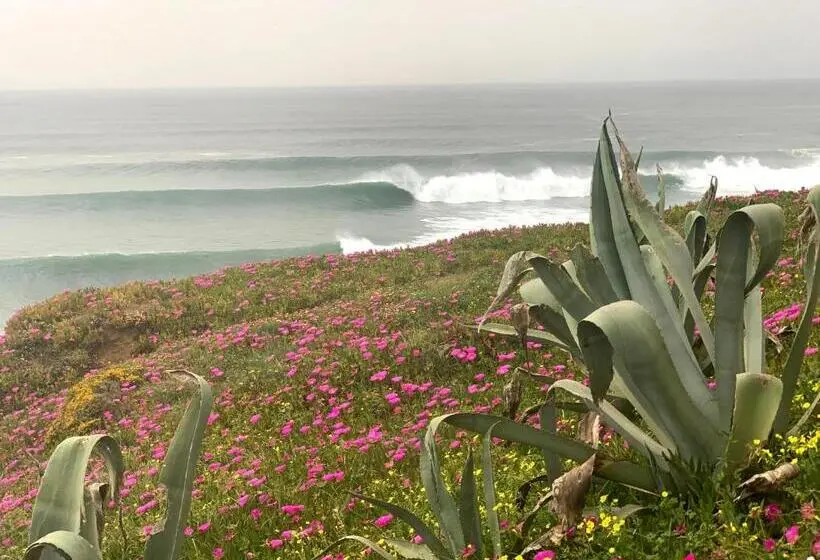 آپارتمان 1 خوابه با تراس, Ericeira Soulsurfers Guesthouse