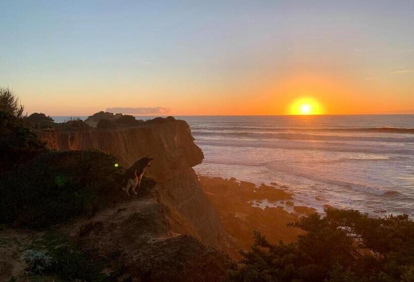 اتاق استاندارد با سرویس بهداشتی مشترک, Ericeira Soulsurfers Guesthouse