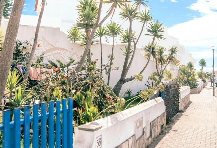 آپارتمان 1 خوابه با تراس, Ericeira Soulsurfers Guesthouse
