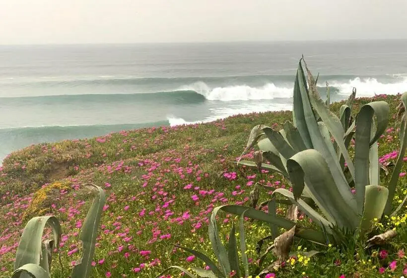 اتاق استاندارد با سرویس بهداشتی مشترک, Ericeira Soulsurfers Guesthouse