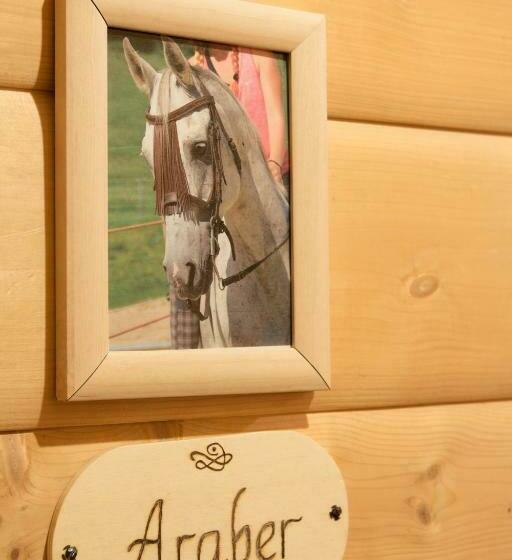 标准间, Reiterbauernhof Maho