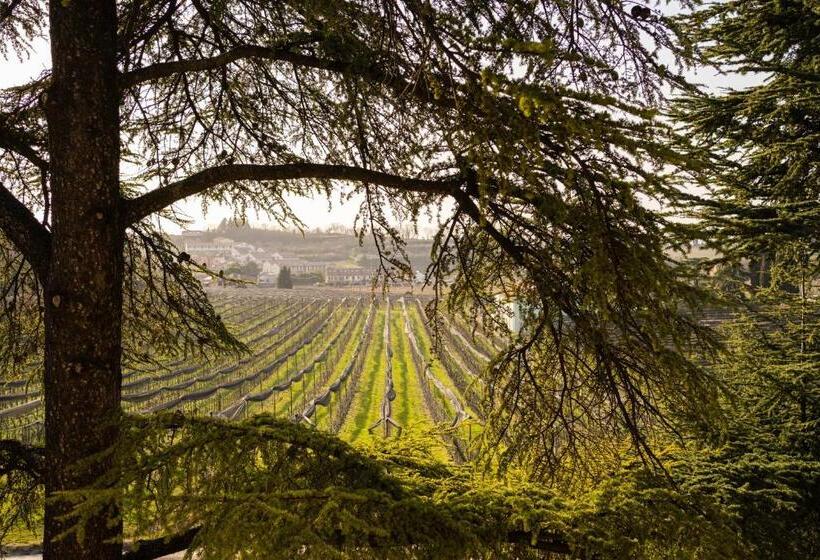 غرفة بريميوم رباعية, Relais Des Roches