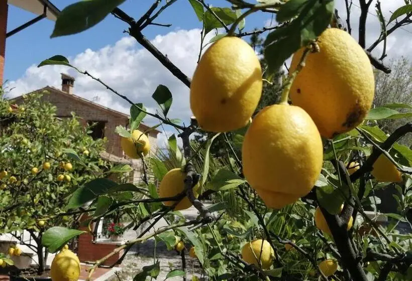 ４ベッドルームハウス, Casale San Martino Agriturismo Bio