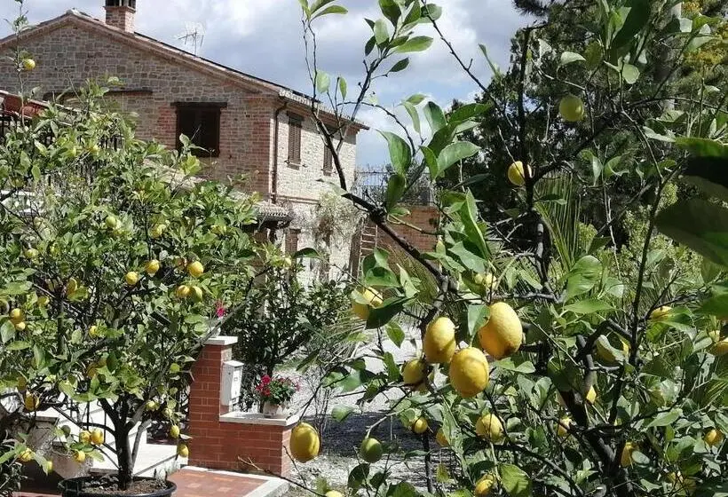 １ベッドルームのデラックスアパートメント, Casale San Martino Agriturismo Bio