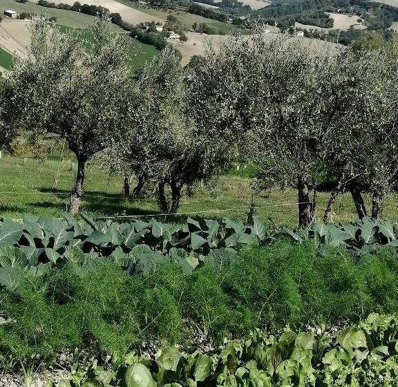 شقة غرفتين, Casale San Martino Agriturismo Bio