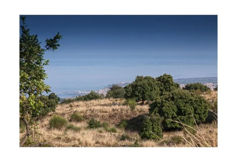 １ベッドルームアパートメント, Ecoagriturismo Notti Stellate Etna Mare