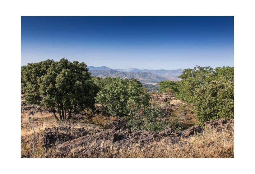 Апартаменты 1 Спальня, Ecoagriturismo Notti Stellate Etna Mare