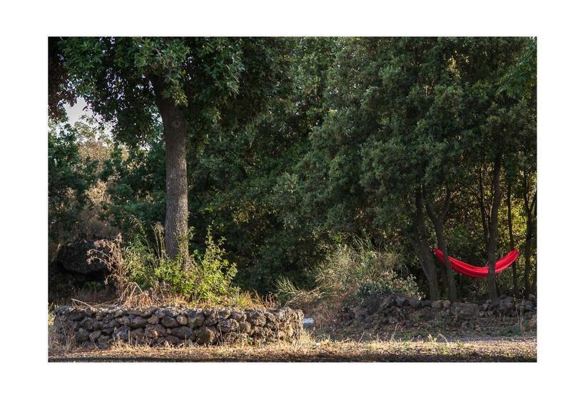 Апартаменты 1 Спальня, Ecoagriturismo Notti Stellate Etna Mare