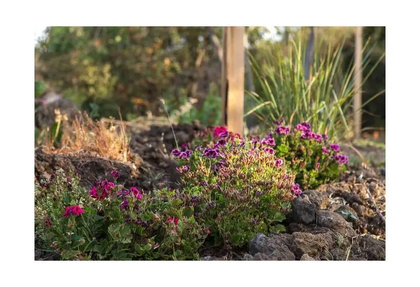 海の見える１ベッドルームアパートメント, Ecoagriturismo Notti Stellate Etna Mare