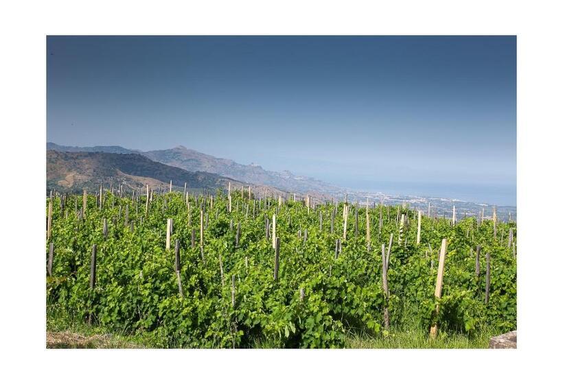 Апартаменты 1 Спальня Вид на Море, Ecoagriturismo Notti Stellate Etna Mare