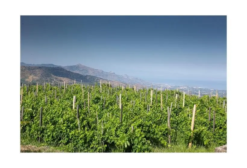 デラックススタジオ, Ecoagriturismo Notti Stellate Etna Mare