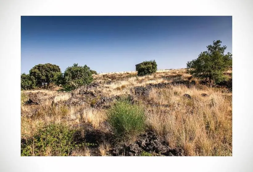 １階の１ベッドルームアパートメント, Ecoagriturismo Notti Stellate Etna Mare
