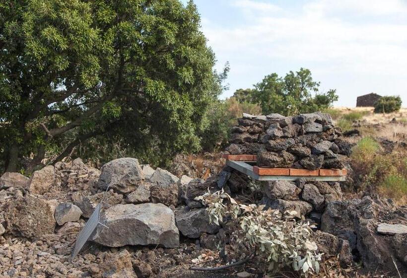 Апартаменты 1 Спальня, Ecoagriturismo Notti Stellate Etna Mare