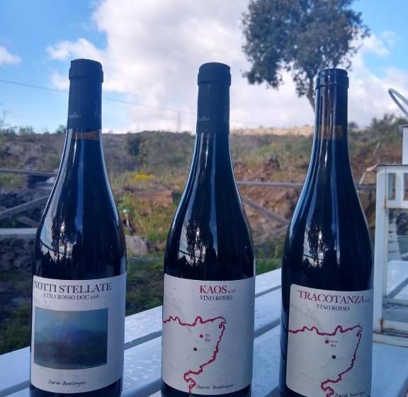 Апартаменты 1 Спальня Вид на Море, Ecoagriturismo Notti Stellate Etna Mare