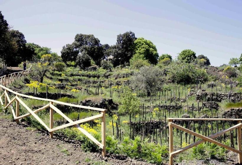 Апартаменты 1 Спальня Вид на Море, Ecoagriturismo Notti Stellate Etna Mare