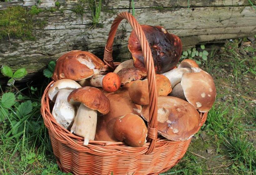 １ベッドルームハウス, Ubytovanie Eva