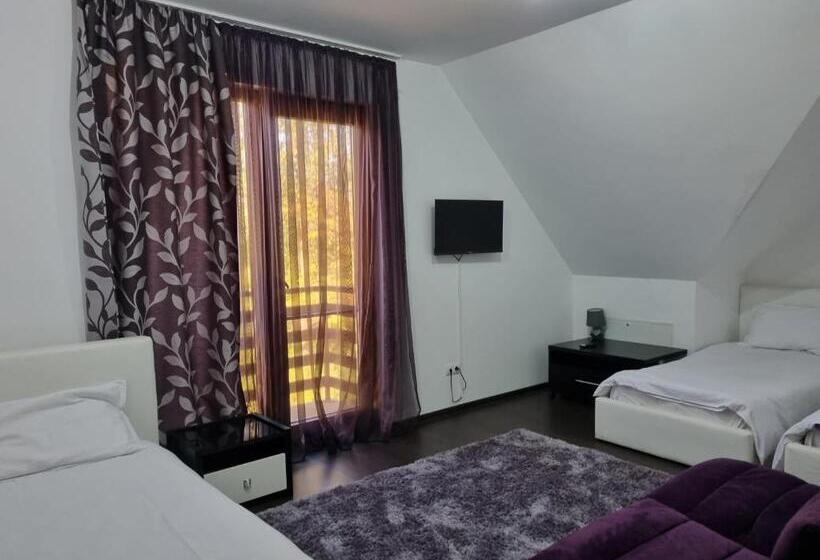 Номер Стандарт Трехместный, Pensiunea Agroturistica Diana