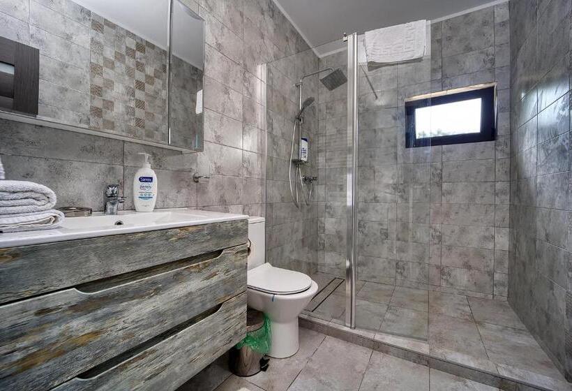 Номер Deluxe Кровать Кинг, Pensiunea Agroturistica Diana