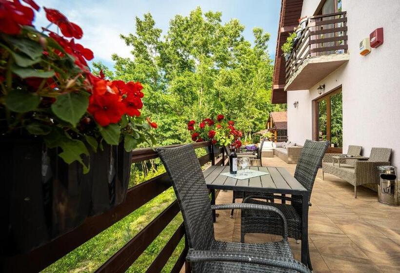 Вилла 1 Спальня, Pensiunea Agroturistica Diana