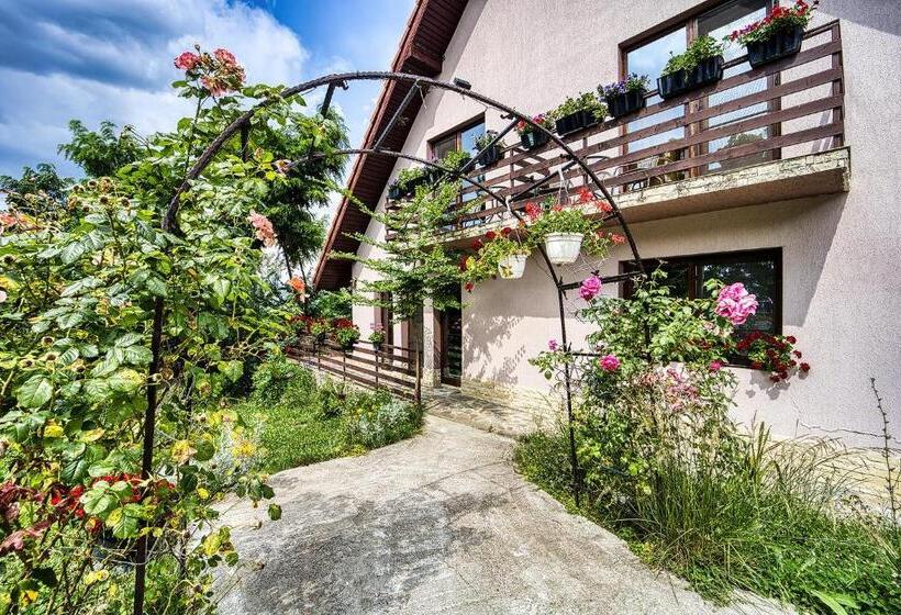 Вилла 1 Спальня, Pensiunea Agroturistica Diana