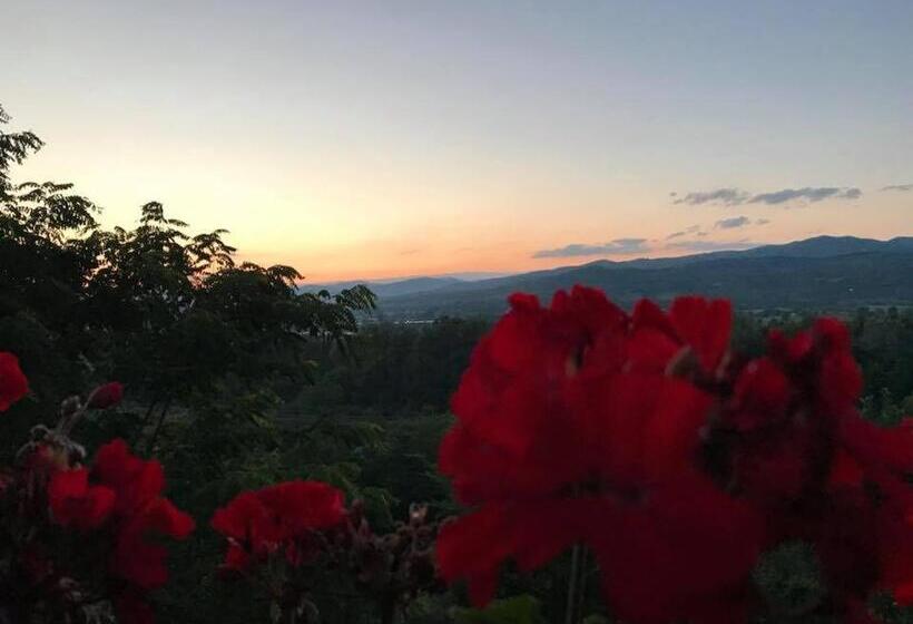 Вилла 1 Спальня, Pensiunea Agroturistica Diana