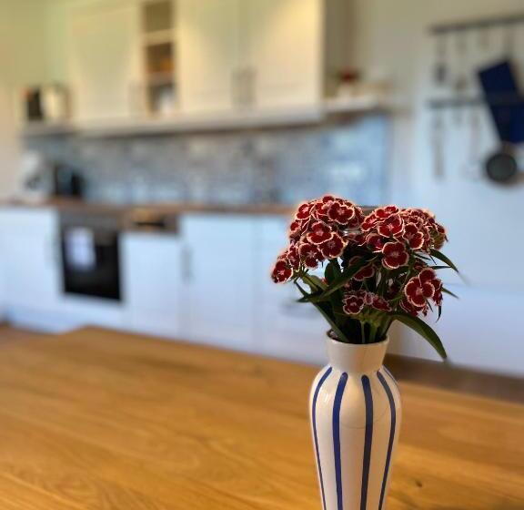 آپارتمان 1 خوابه با چشمانداز, Dachsteinblick