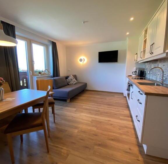 آپارتمان 1 خوابه با چشمانداز, Dachsteinblick