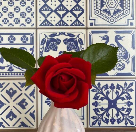 آپارتمان 3 خوابه, Dachsteinblick