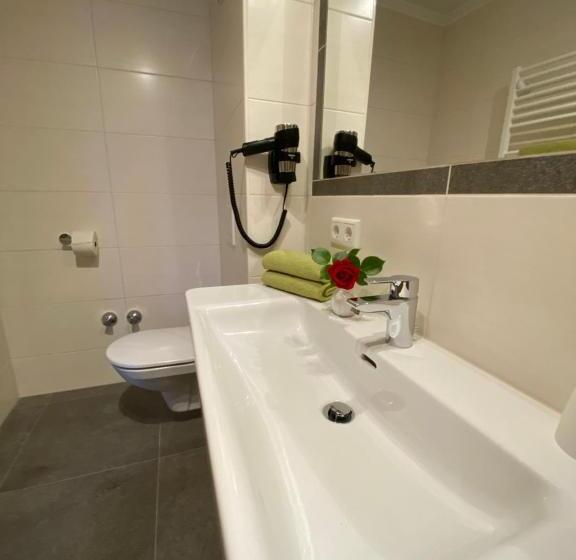 آپارتمان 1 خوابه با چشمانداز, Dachsteinblick