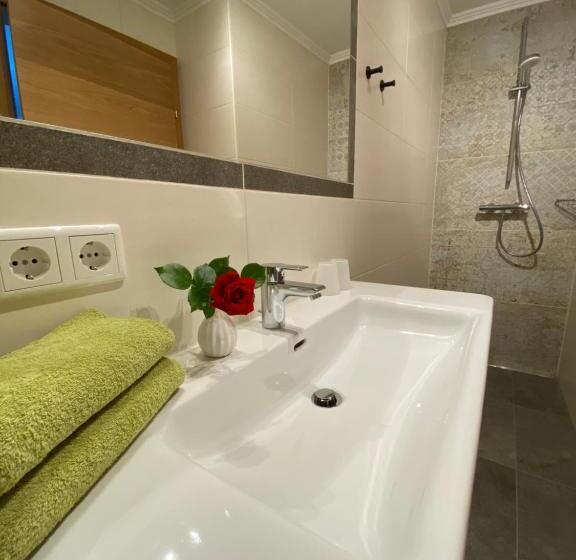 Apartamento 1 Dormitório com Vistas, Dachsteinblick