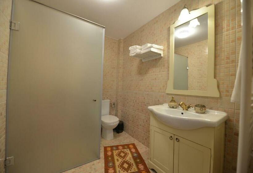 Standard Værelse, Pensiunea Drumul Plutasilor