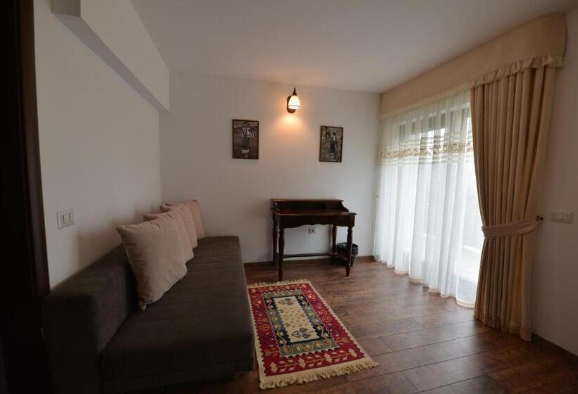 Familie Værelse, Pensiunea Drumul Plutasilor